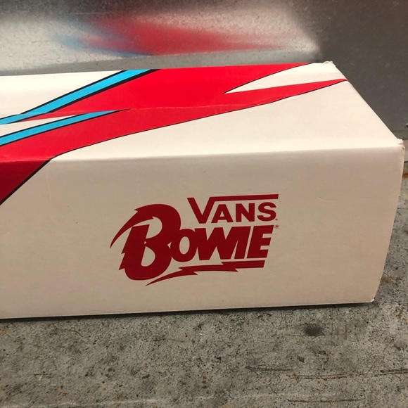 Vans Other - Rare Vans Slide On